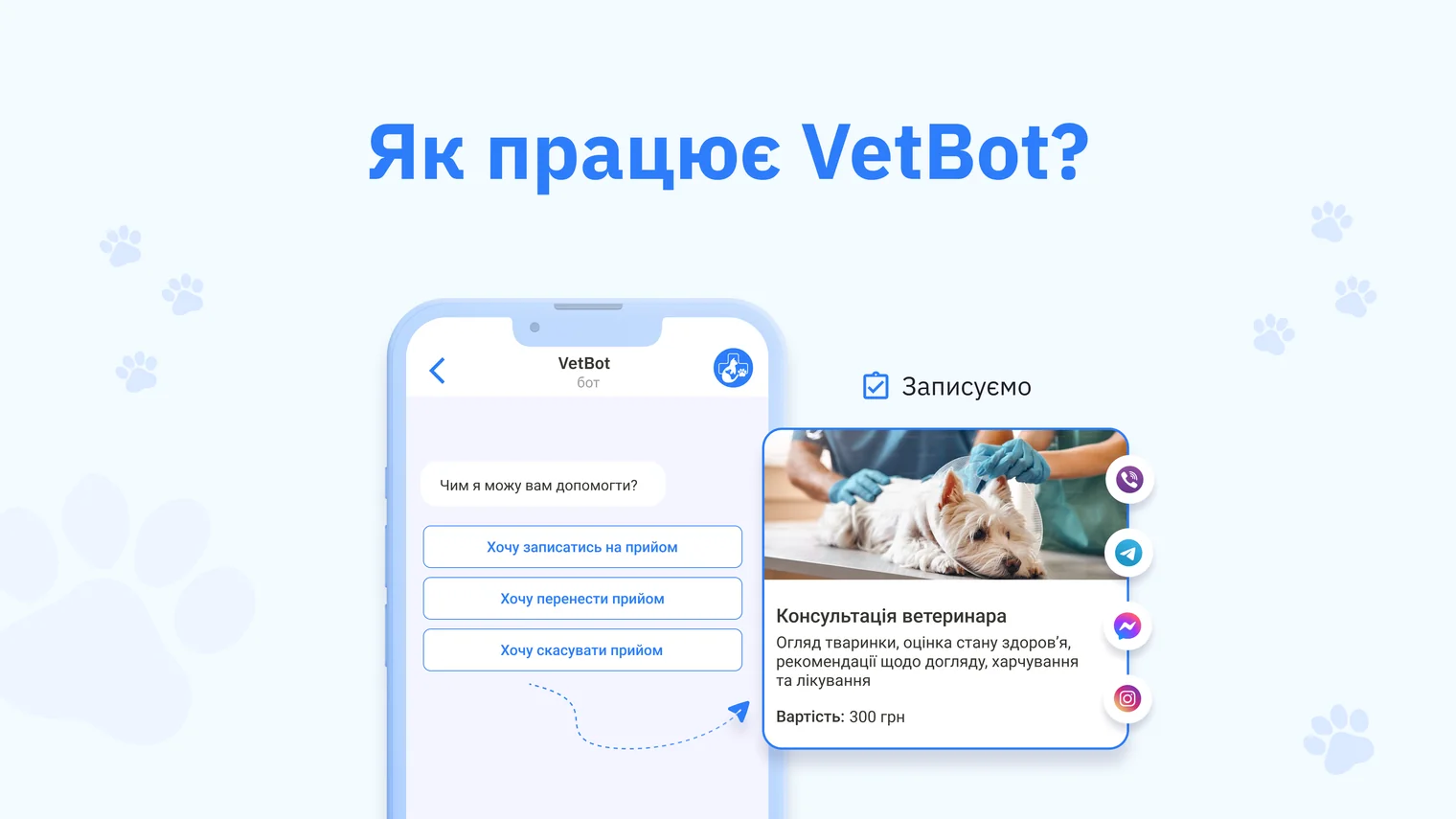 Основні можливості для бізнесу — INBOOST VetBot